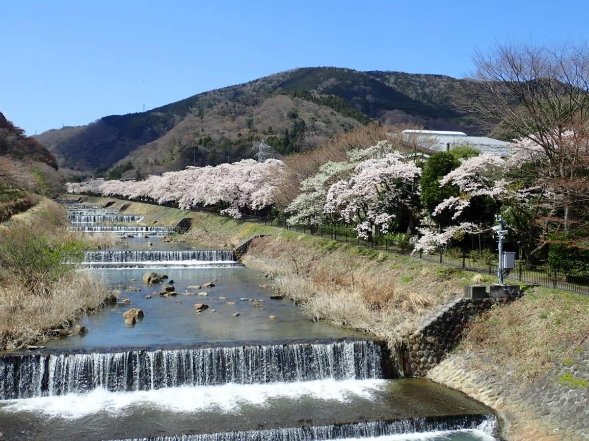 Onsen & Garden -Asante Inn- Hakone Bagian luar foto